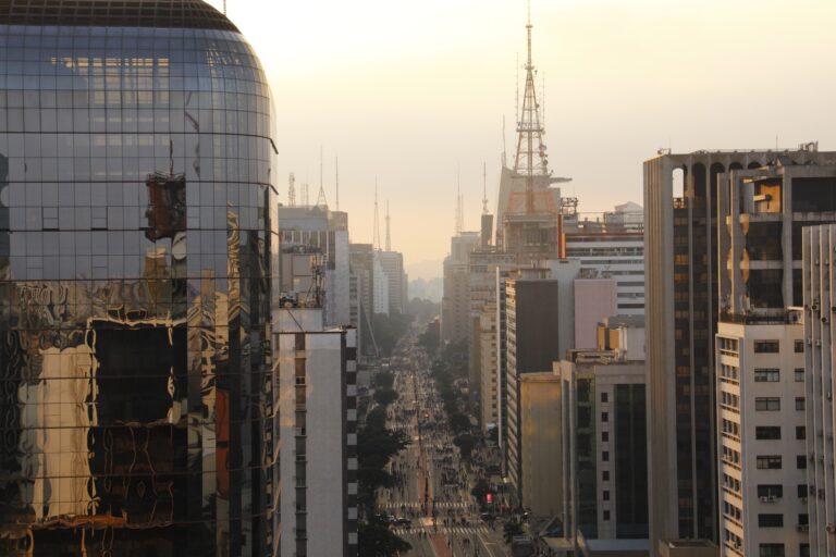 paulista-gd5e8eb3c1_1920